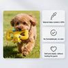 Squeaky Monkey Dog Toy Latex Monkey Shape Puppy Chew Toy Interactive Dog Teething Toy for Aggressive Chewers Teeth Cleaning Tug-of-War