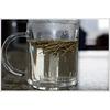 Somlata - Soma - Ephedra Vulgaris - Ephedra Gerardiana (500 Grams)
