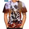 Beautiful Dalmatians 3D Printed T-Shirt Dalmatians Fashion Men Women's Personality Hip Hop Casual T Shirt Male Streetwear Tops