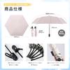 Sisibella Folding UV Light Automatic Full Light Folding Umbrella for Sun and Suitable for Women and Perfect for Watching Beige Umbrella, Protection,