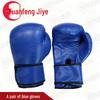 Yuanfeng Jiyuan Sanda Combat & Grappling Protective Gear
