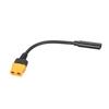 Highly Power USB C To XT60 Female Converters Cable 100W For Batteries And Energy Storage