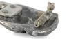 Griffon Bruxellois, Brussels Griffon – Brooch with a clip, holder for a start number – Design 02 | Art-Dog