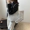 Casual Autumn Women's Niche Design Single Shoulder Portable Shopping Bag Large Capacity Oblique Span Women's Tote Bag