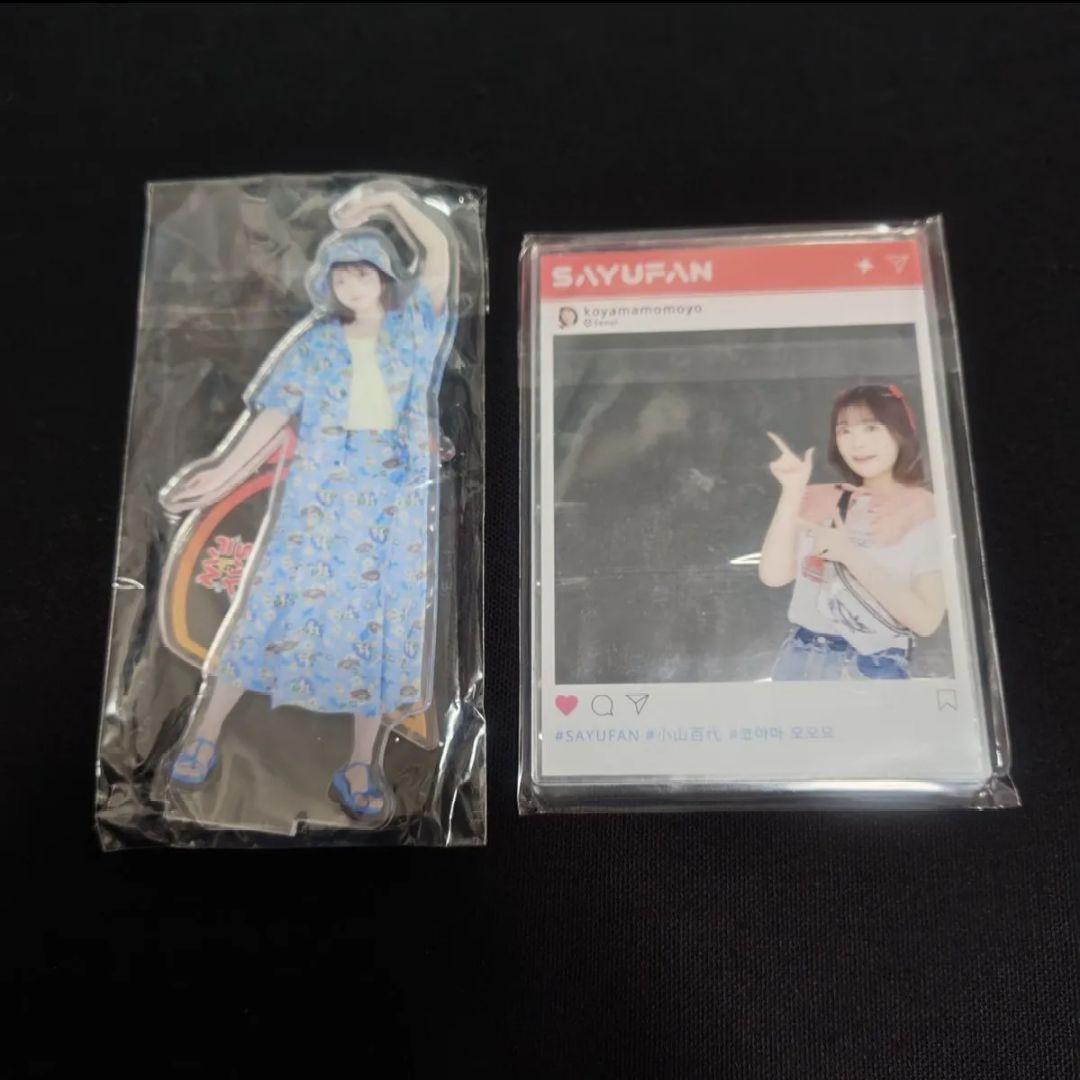 

[USED] Acrylic stand, acrylic panel, Koyama Momoyo