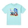 Unisex Shirt Cotton Oversize Large Size LRG Lifted Research Group "Stacked Bass" Short Sleeve Tee (Celadon) T-Shirt