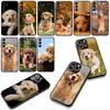 Phone Cover Golden Retriever Dog Pet Casing for Xiaomi Redmi Note 15 11 9 10 Pro Plus A5 9A 9T 10A 10C 9C NFC 15C 8T Case