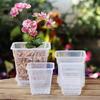 Transparent Square Resin Root Control Pot for Orchids (Aoyama J51)