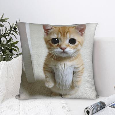 Pet Cat Funny Memes Pillow Case Funny Pillow Cover Custom Pillowcases For Sofa Bedroom Home Decor