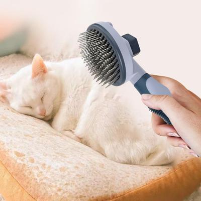 Perros – Productos de peluquería canina
