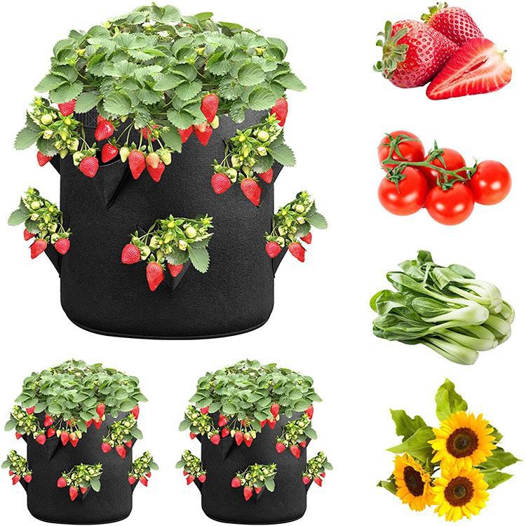 Strawberry Planting Bag - Thick, Non-Woven Fabric for Indoor & Outdoor Cultivation