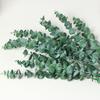 Single Simulated Eucalyptus Leaf Plant, Indoor Landscaping Forest Series Green Plants Money Leaves Green Leaves Artificial Flowers