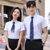 Professional Short-Sleeve Anti-Wrinkle Business Shirt