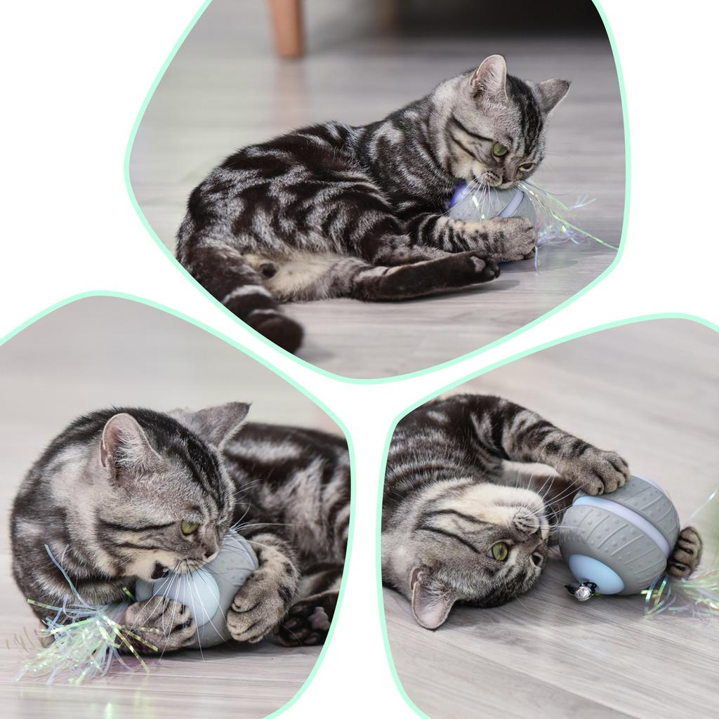 Interactive Cat Toys Interactive Robotic Cat Toys Automatic Rolling Toy