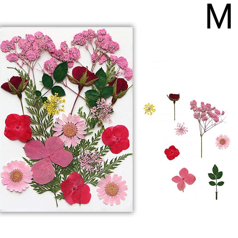 Dried Flowers Real Natural Plant Pressed Flower For Epoxy Resin Filling DIY Nail Art Handicrafts Jewelry Making Craft