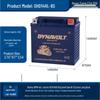 Leoch 12V Gel Motorcycle Battery