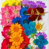 36Pcs Dried Flowers Assorted Styles Colors Natural Material Multi Purpose Dried Flower Heads for