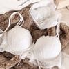 Sexy 1/2 Cup Push Up Bra Set Women Lace Flowers Embroidery Underwear Wire Free Thickened Cup Romantic Detachable Strap Lingerie