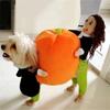 Funny Dolls Pumpkin Costume for Dogs Pet Halloween Holiday Accessories Photo Props Suitable Cats and Dogs