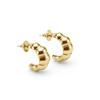 Chic Luxury Irregular C-Shaped Croissant S925 Silver Stud Earrings - Unique European & American Style