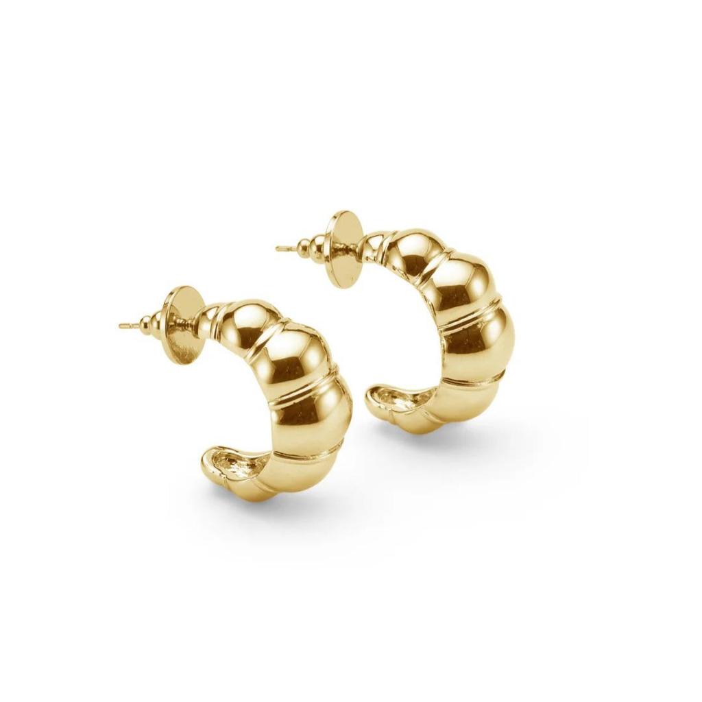Chic Luxury Irregular C-Shaped Croissant S925 Silver Stud Earrings - Unique European & American Style
