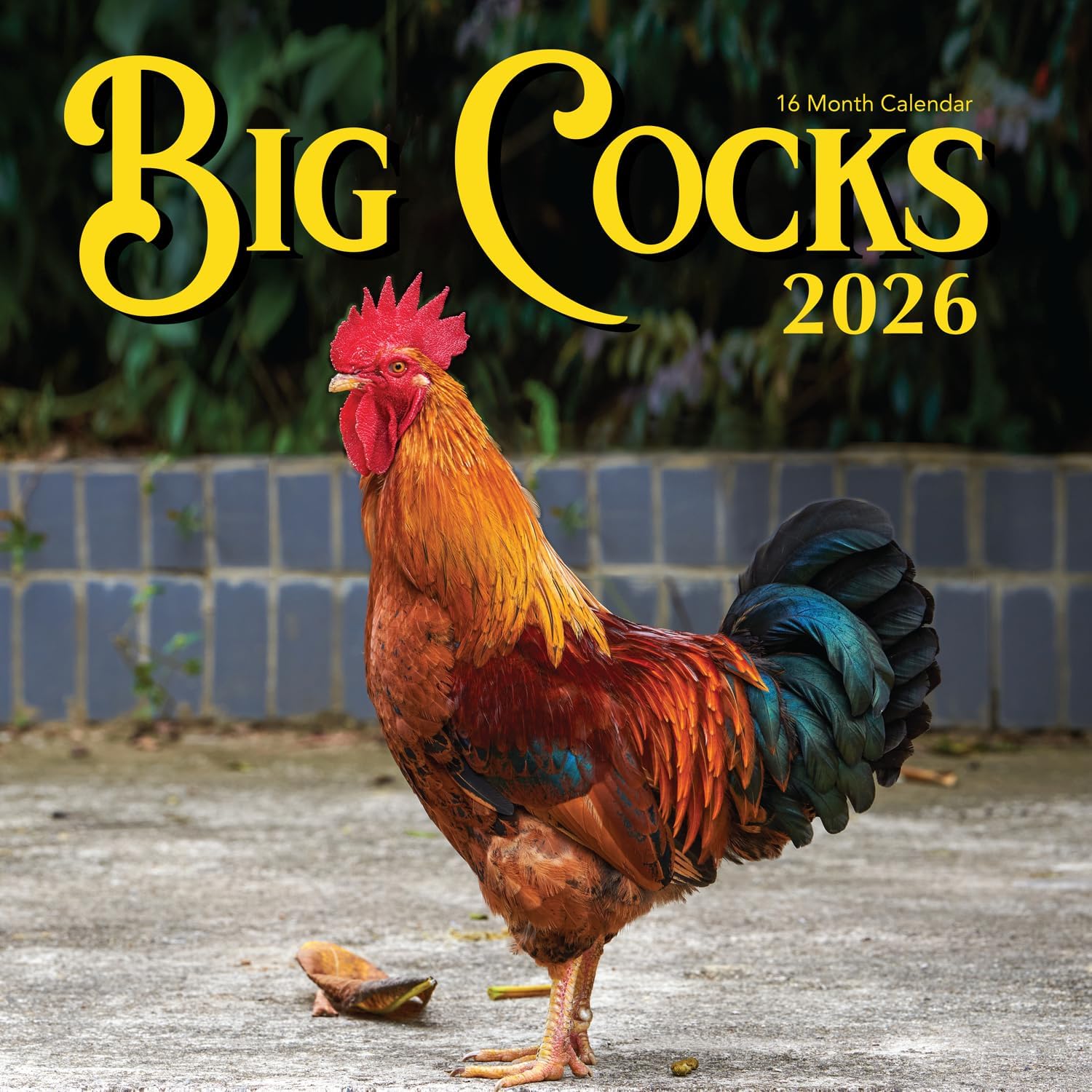 2026 Rooster Big Cocks Birds Monthly Wall Calendar Fun Funny Bird Watching Birders Joke Gift Dirty Prank Elephant Secret Santa Gifts (2026 Big Cocks) 2026 Big Cocks