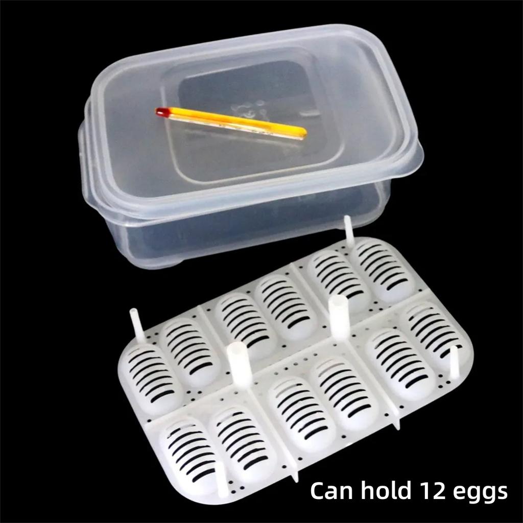 12 Grids Incubation Egg Carrier Box with Thermometer DIY Reptile Egg Incubator Geckos Snakes Lizards Tortoise Turtle Incubator