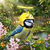 Waterproof Pet Parrot Safety Helmet with Propeller Chicken Protective Hat  for Chickens