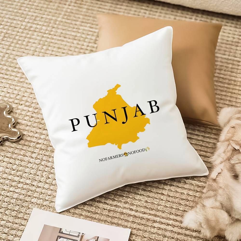 

PPunjab MMap Pillow Case Antidustmite Pillowcase Invisible zipper silky plush Sofa 40x40cm