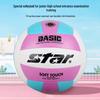 Star Macaron Pink Blue Volleyball