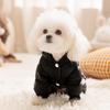 Graphene Black & Gold Hooded Down Jacket for Small Dogs & Cats - Autumn/Winter Pet Clothing