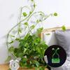 100-10PCS Plant Climbing Wall Self-Adhesive Fixed Buckle Hook Fastener Tied Fixture Buckle Garden Plant Wall Climbing Vine Clips
