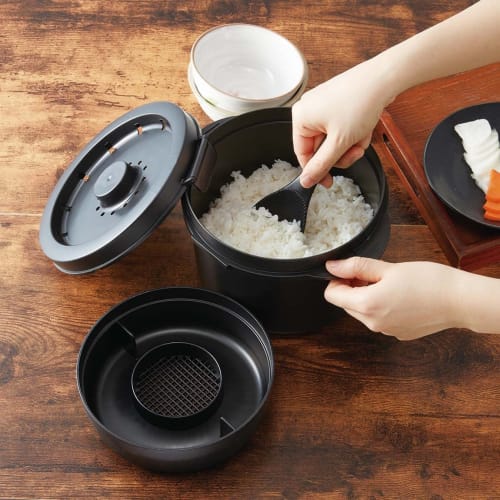 Skater Microwave Oven Carb Cutting Rice Maker 2-Cup Microwave Rice Cooker UDG2N-A