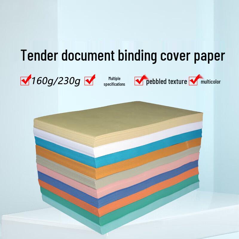 Deli A3++ Embossed Leather Texture Cover Paper