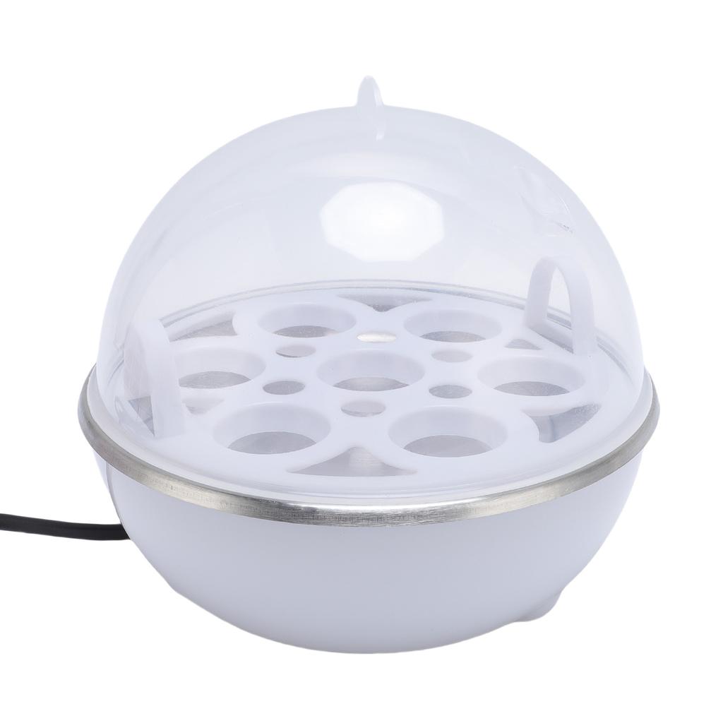 Elektrischer Eierkocher 350W Trockenkochschutz 7 Eier Kapazität Schneller Eierkocher für Zuhause