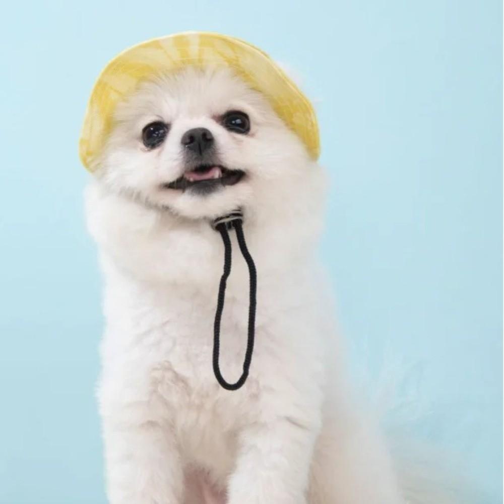 Cotton Cat Sun Hat S/M/L Dog Fisherman Hat Cute Cat Bucket Hat  for Small Medium Cat