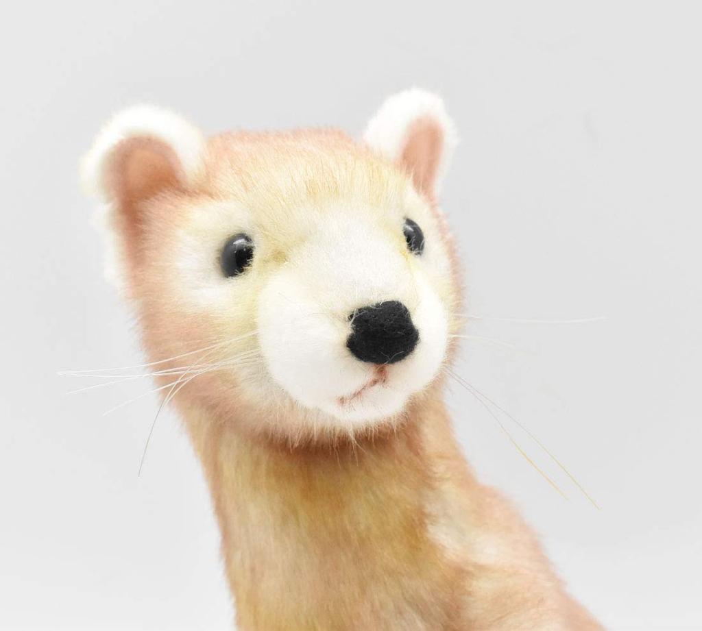 Hansa Weasel No.5729