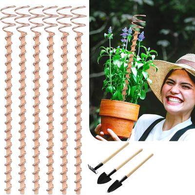 Electroculture Plant Stakes Copper Gardening Antenna Stakes Spiral Copper Wire On Wooden