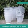 Macetas y jardineras – Contenedores para plántulas