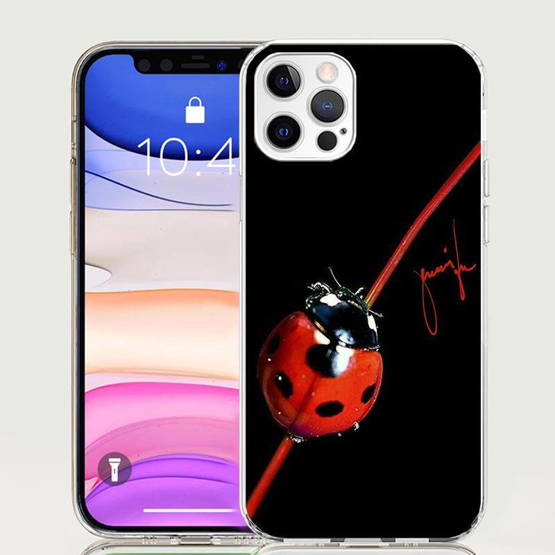 Insect Seven-Star Ladybug Phone Case For Apple iPhone 17 Air 16 15 Plus 14 + 13 Mini 12 11 Pro Max 7 8 SE 16Max Soft Shell Cover