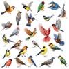 Spring 2026 New Arrival Colorful Hummingbird Butterfly Flowers Static Cling Window Stickers Removable Decals for Home Decor