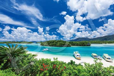 Epoch 1000 Piece Jigsaw Puzzle Japanese Landscape - Blue Sea of Ishigaki Island (50x75cm) with Glue, Spatula, Score Ticket