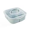Portable Multi-function Compartment Fruit Box Simple with Lid Sealed Plastic Box Fruit Plate PP Plas