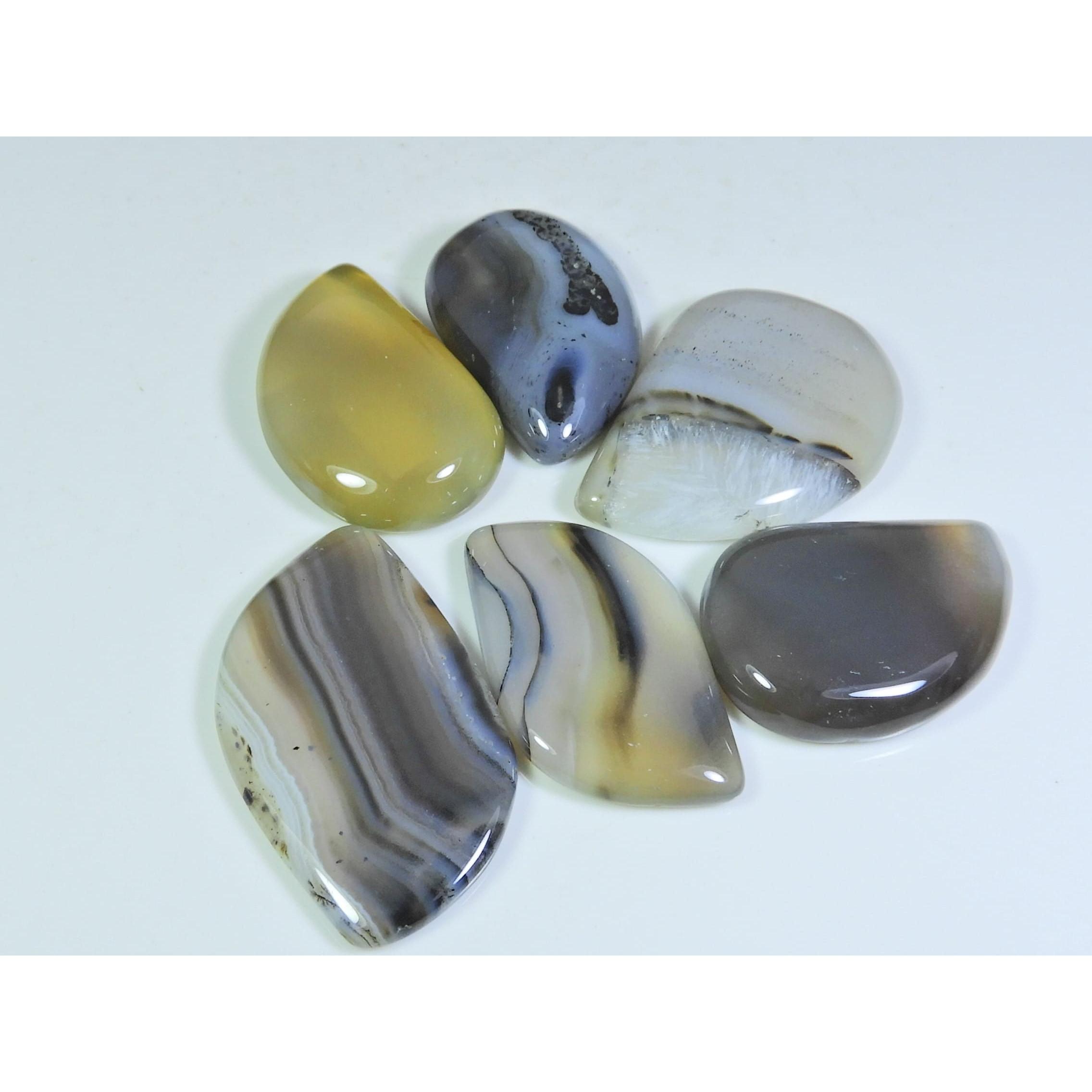 

248Cts. Natural Botswana Agate Fancy Cabochon Loose Gemstone 6 Pcs Lot A-662