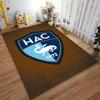 HAC Logo Shield Design Carpet suitable as a non-slip mat for the living room or bedroom sofa