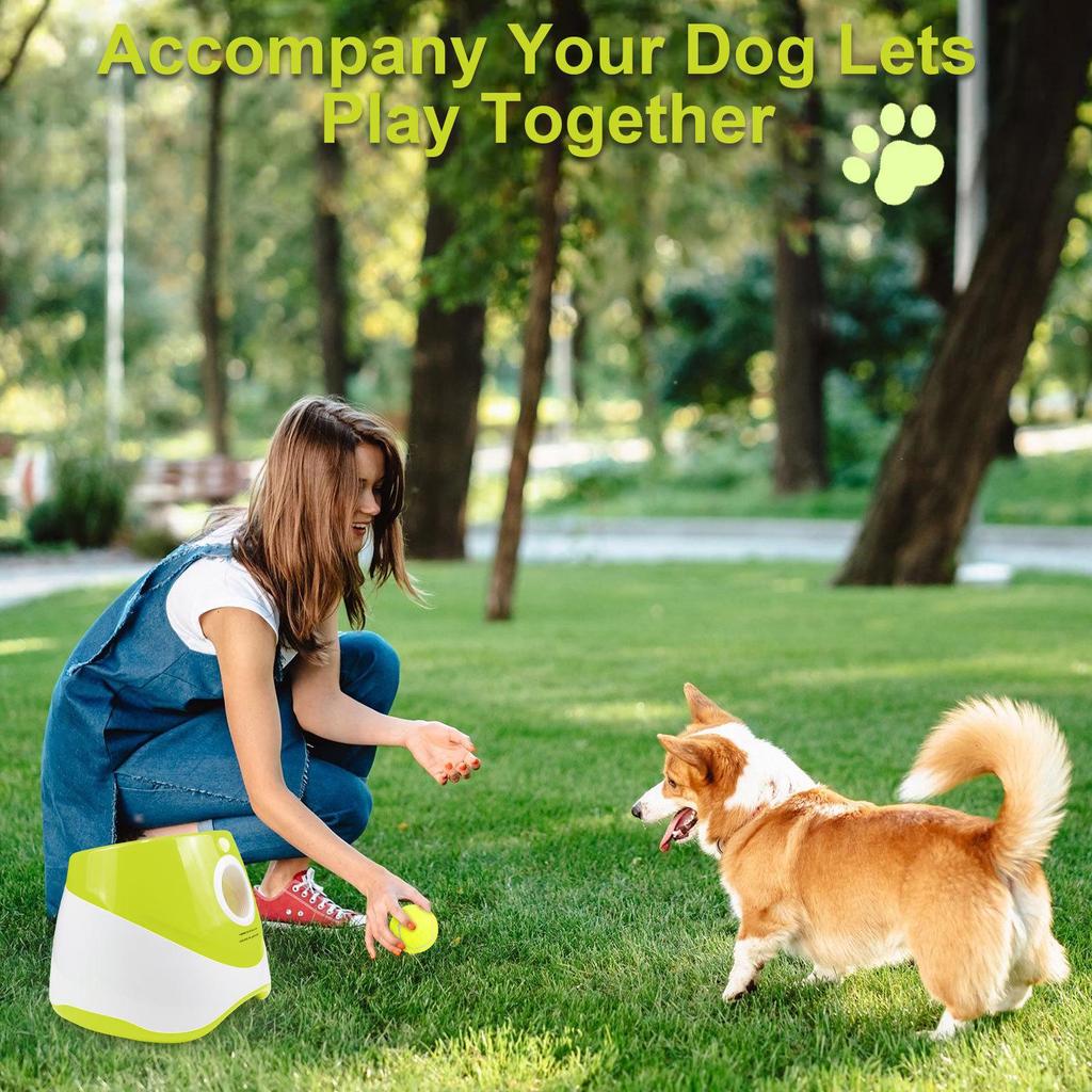 Automatic Dog Ball Launcher for Border Collies - Tennis Ball Throwing and Bouncing Toy
