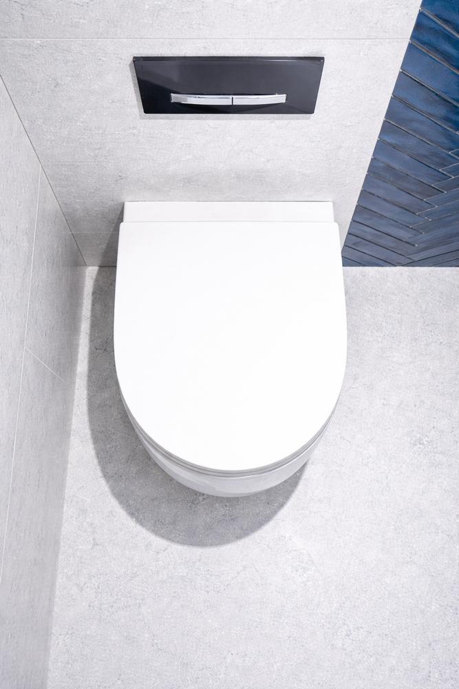 Soft-close universal toilet seat for Carsanit Kolo Roca Duroplast Kizomba