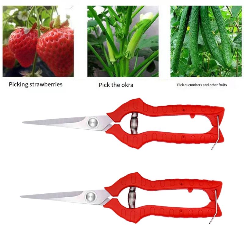 Pack Of 2 Stainless Steel Fruit Picking Scissors Portable Pruning Tool For Gardening And Pruning With Ergonomic Handle