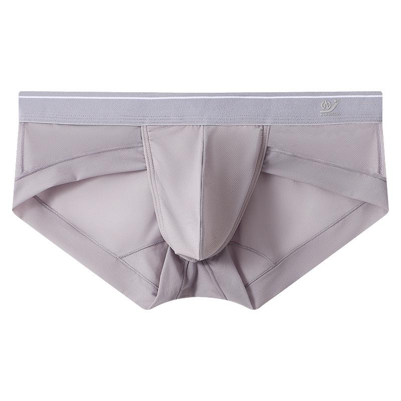 Men's 2025 Ultra-Thin Sexy Mesh Triangle Underwear - Breathable Ice Silk, Quick-Drying & Transparent.