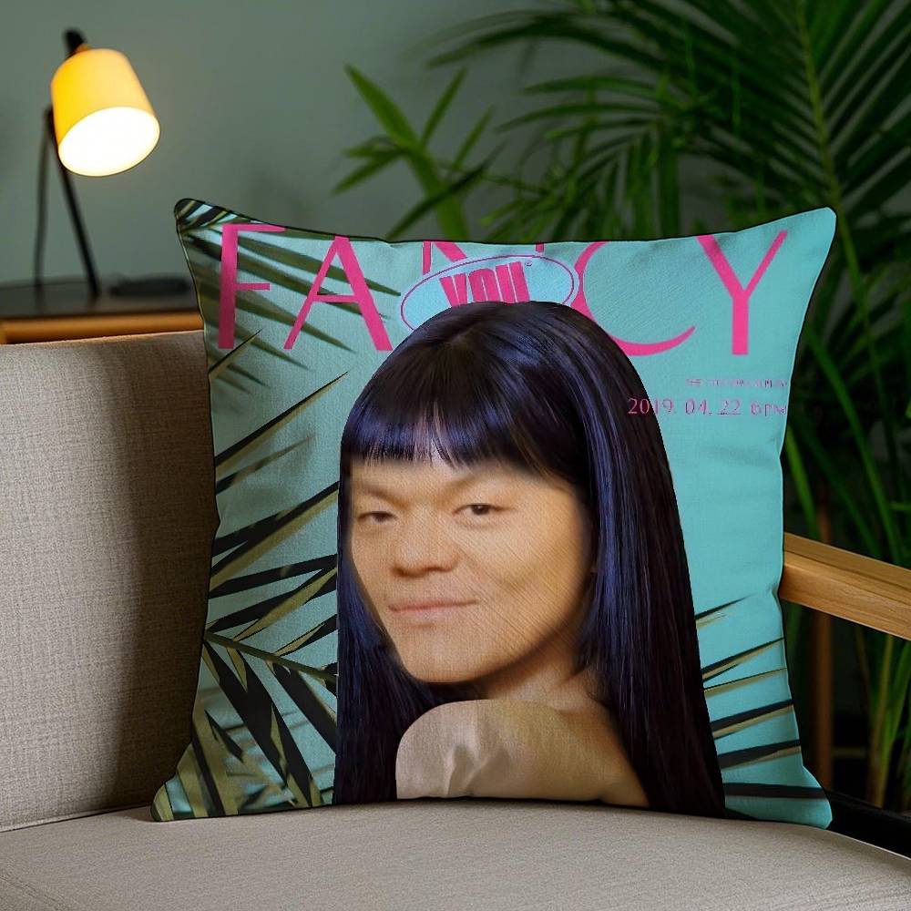Funny J-JYP Meme Pillow Case Office Sofa Dorm Chair Back Short Plush Double-sided Printing Home Cushion Cover